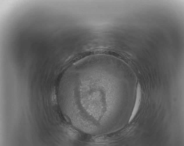 X0000064741252200602131307