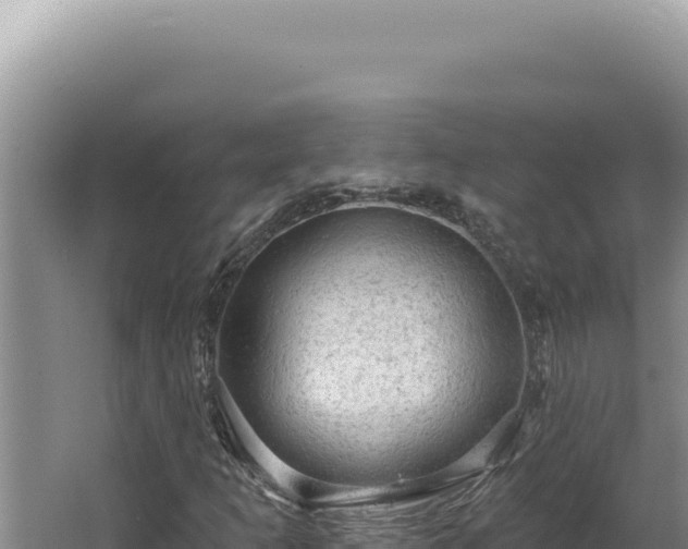 X0000064741253200602131307