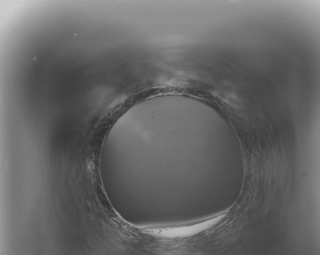 X0000064741254200602131307