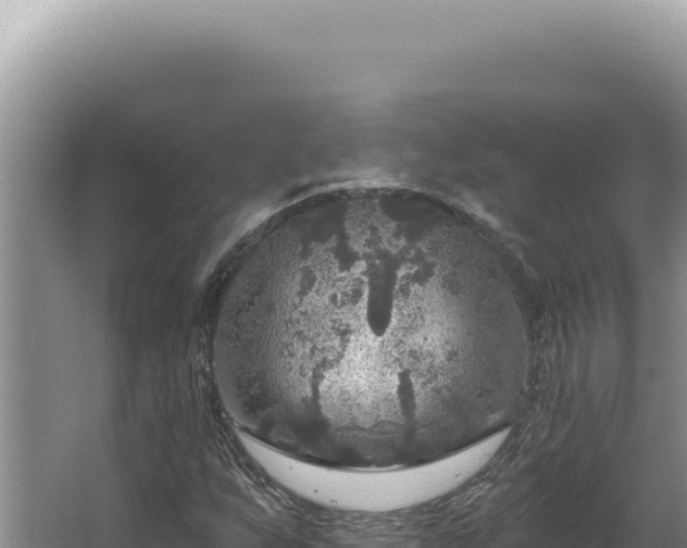 X0000064741255200602131307