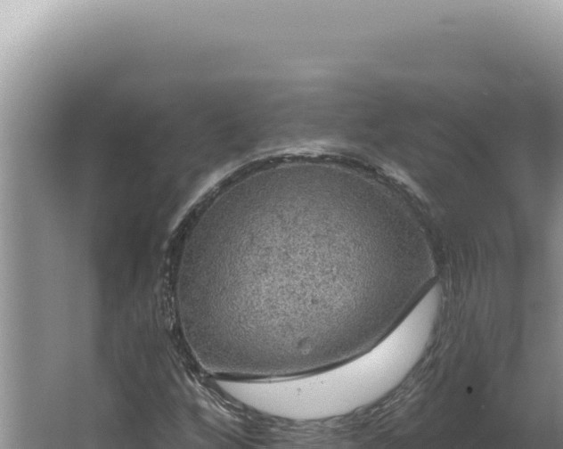 X0000064741256200602131307