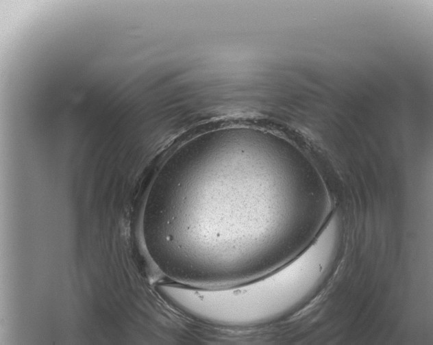 X0000064741257200602131307