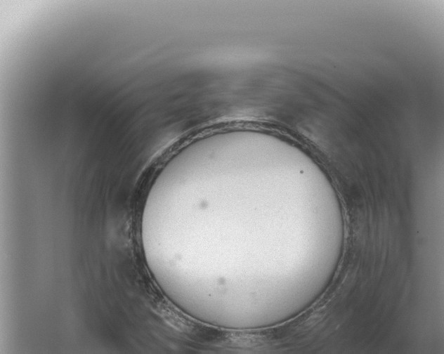 X0000064741258200602131307