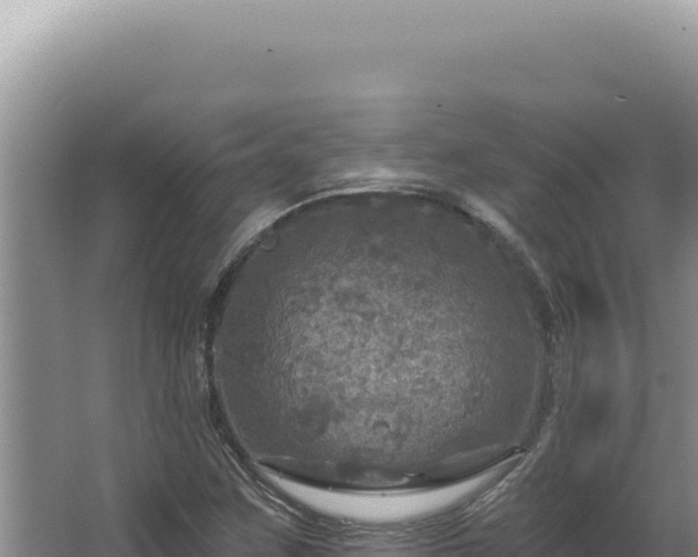 X0000064741259200602131307