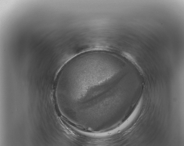 X0000064741260200602131307