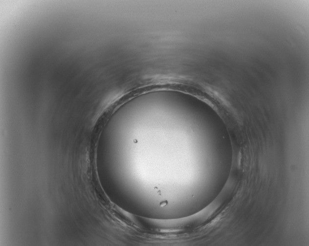 X0000064741261200602131307