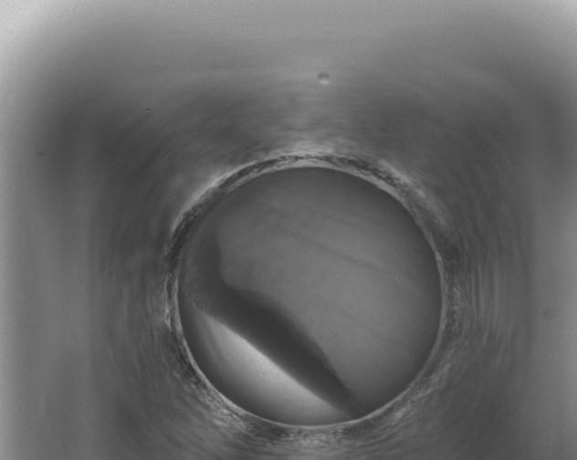 X0000064741262200602131307