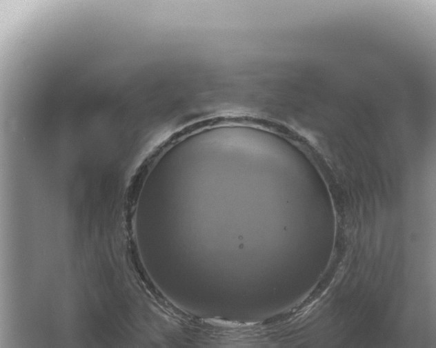 X0000064741263200602131307