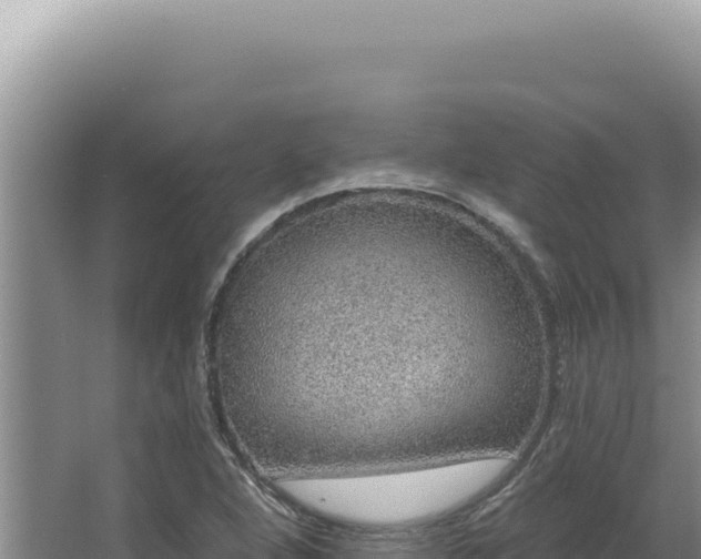 X0000064741264200602131307