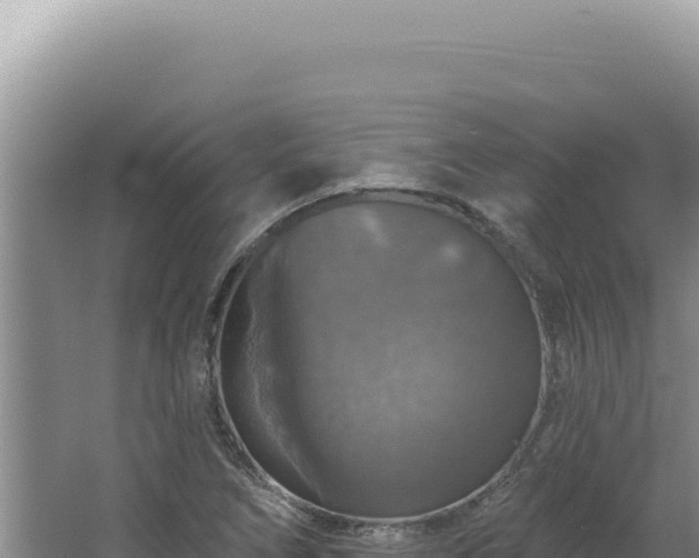 X0000064741266200602131307