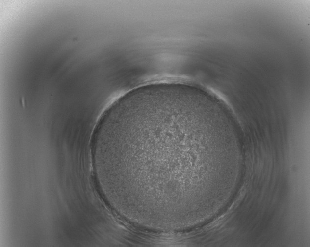 X0000064741267200602131307