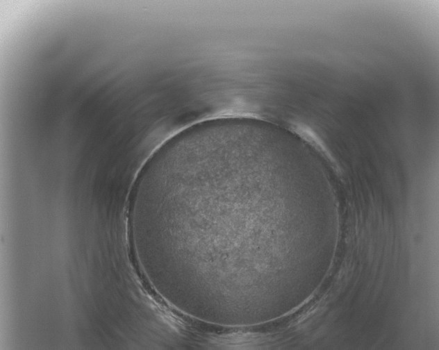 X0000064741268200602131307