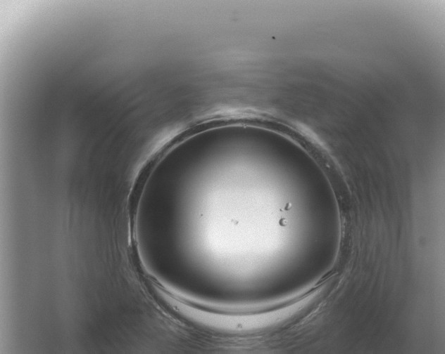 X0000064741269200602131307