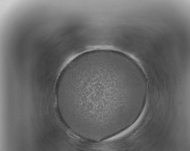 X0000064741271200602131307