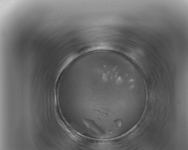 X0000064741274200602131307