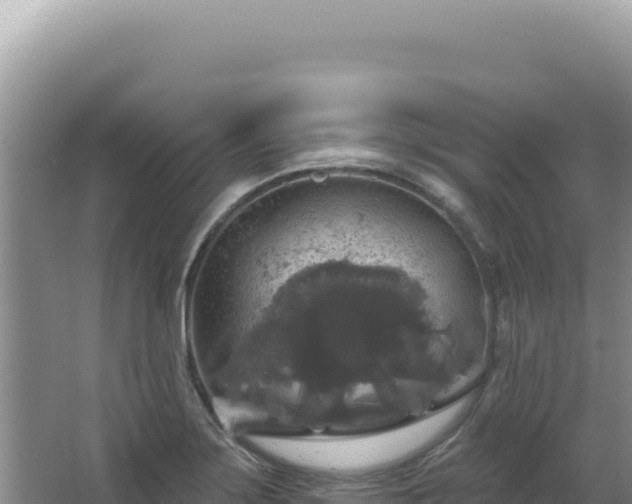 X0000064741275200602131307