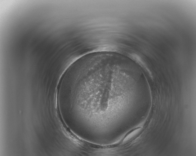 X0000064741276200602131307