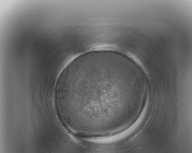 X0000064741277200602131307