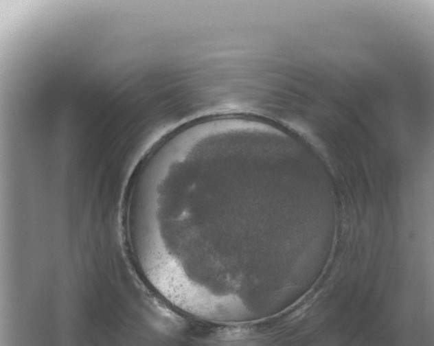 X0000064741278200602131307