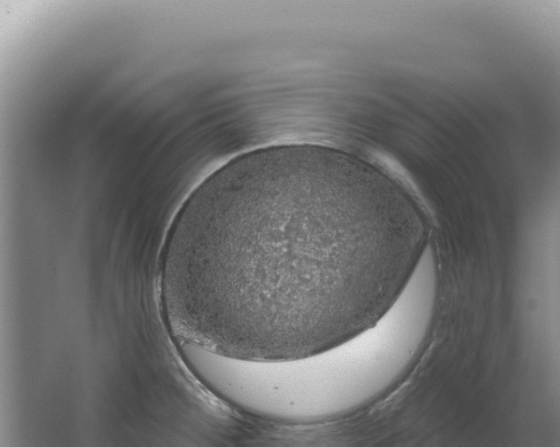 X0000064741284200602131306