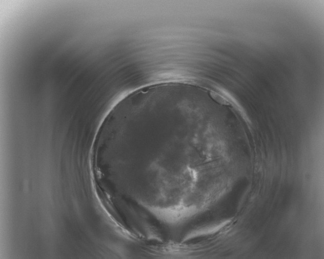 X0000064741291200602131306