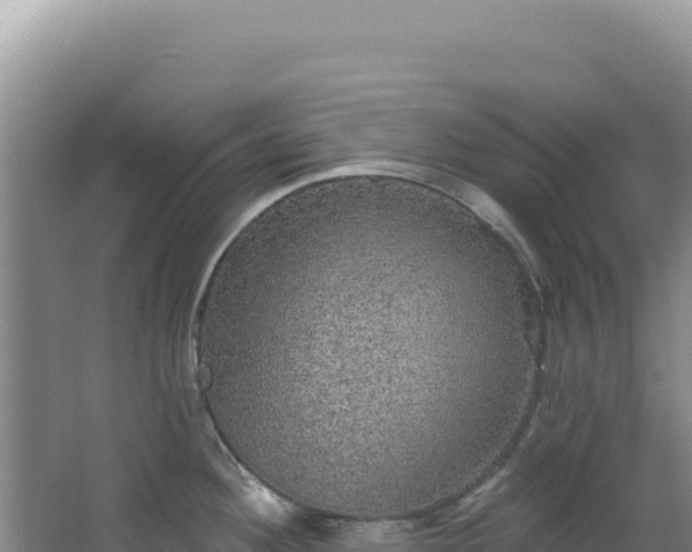 X0000064741292200602131306