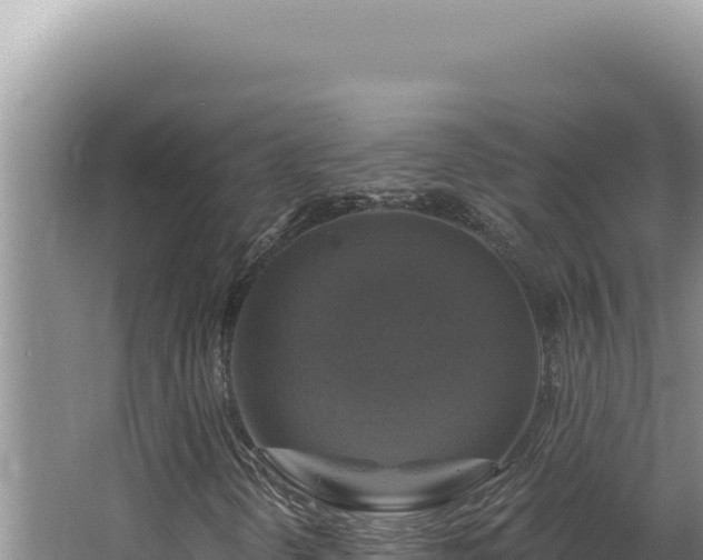 X0000064741298200602131305
