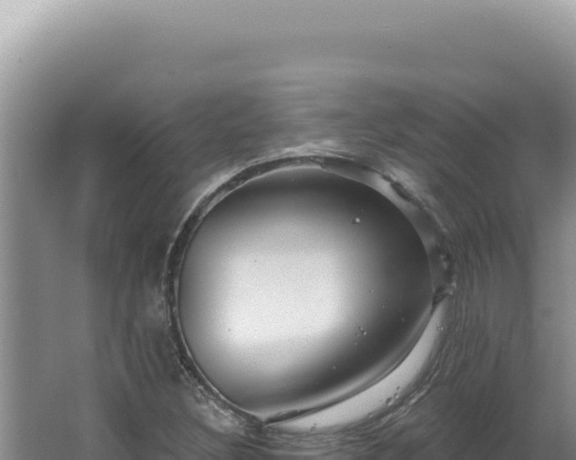 X0000064741308200602131306