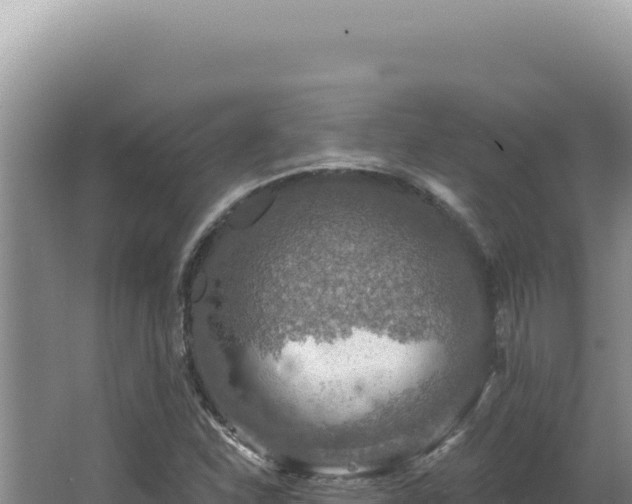 X0000064741310200602131306