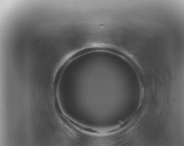 X0000064741319200602131306