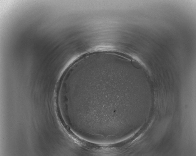 X0000064741325200602131306