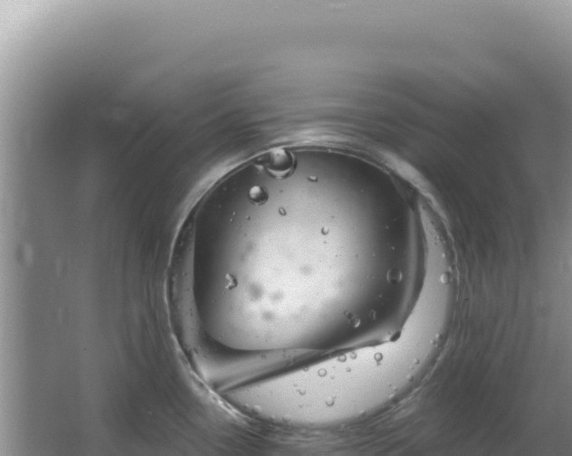 X0000064741338200602131306