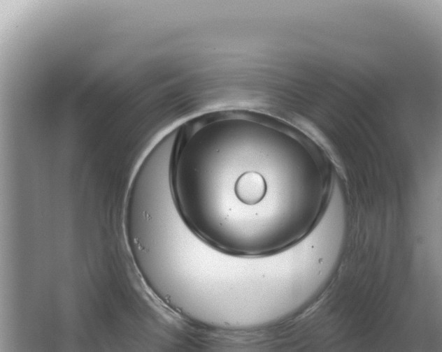 X0000064741340200602131306