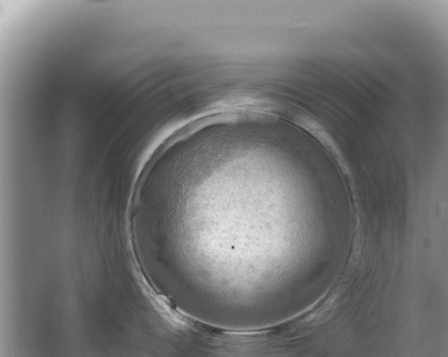 X0000064741344200602131306