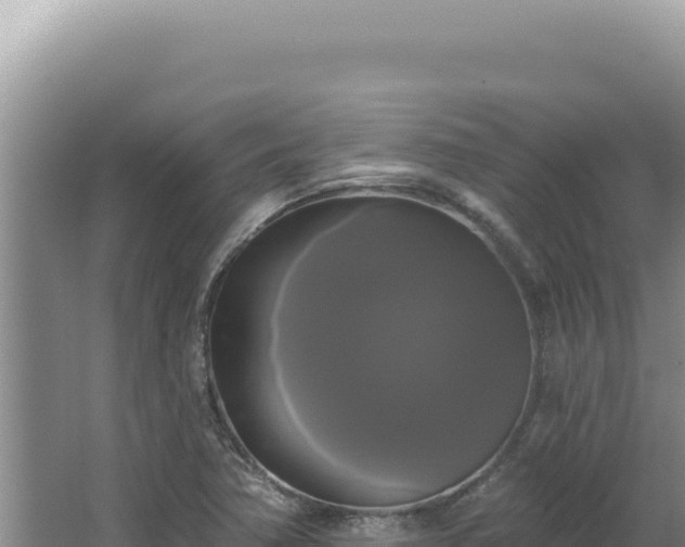 X0000064741362200602131305