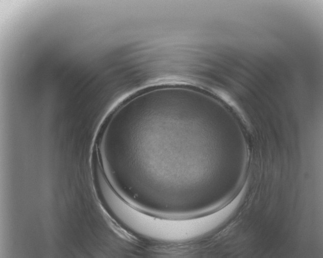 X0000064741372200602131305