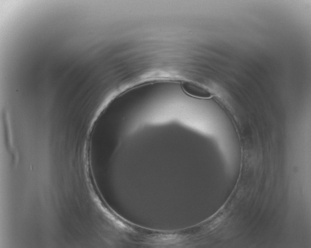 X0000064741382200602131305