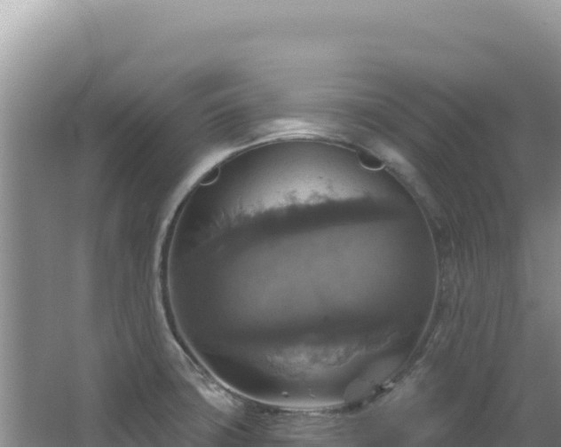X0000064741427200602131304