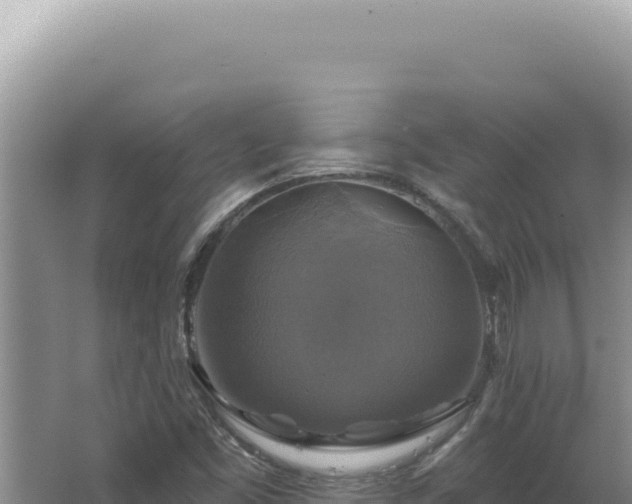 X0000064741453200602131304
