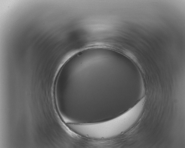 X0000064741482200602131303