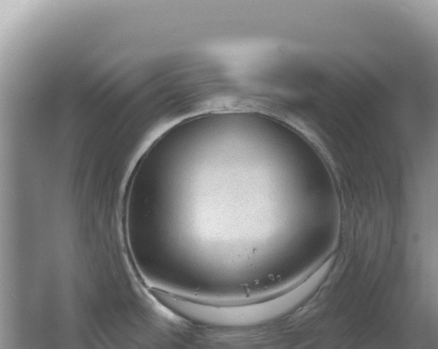 X0000064741486200602131303