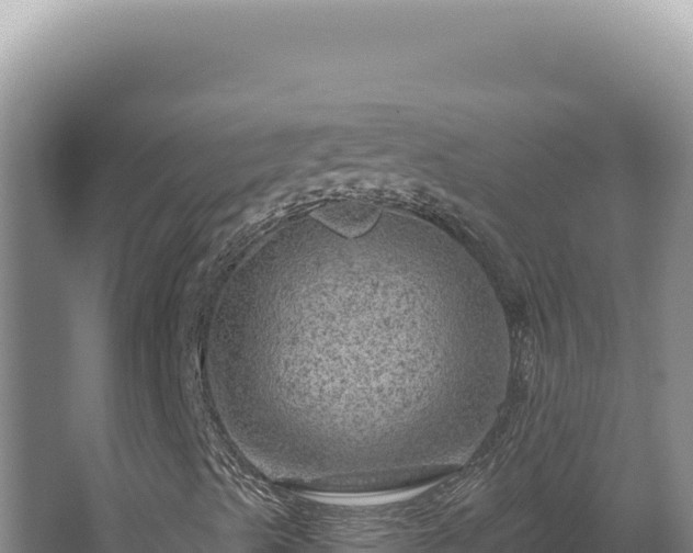 X0000064741489200602131302