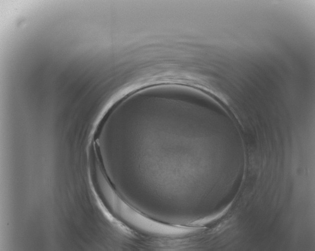 X0000064741515200602131303