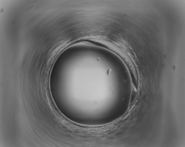 X0000064740001200602171719