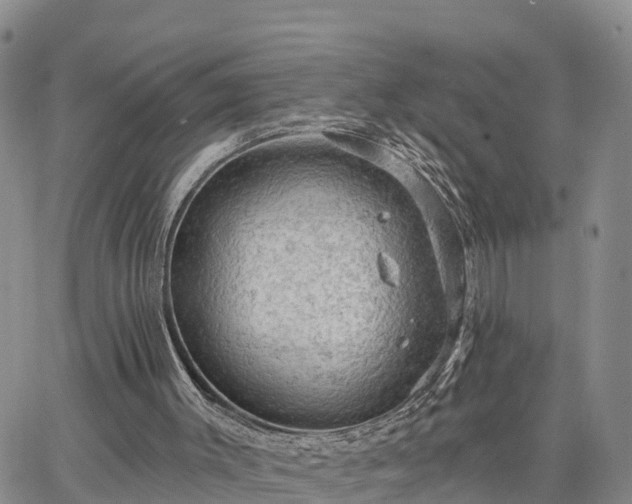 X0000064740003200602171719