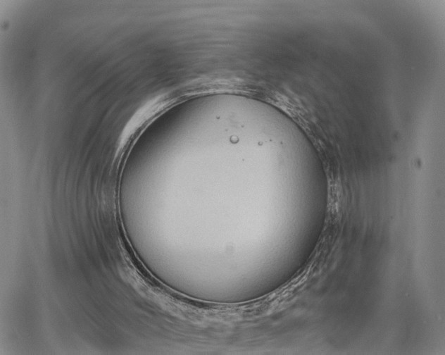 X0000064740004200602171719