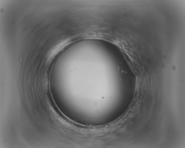 X0000064740005200602171719