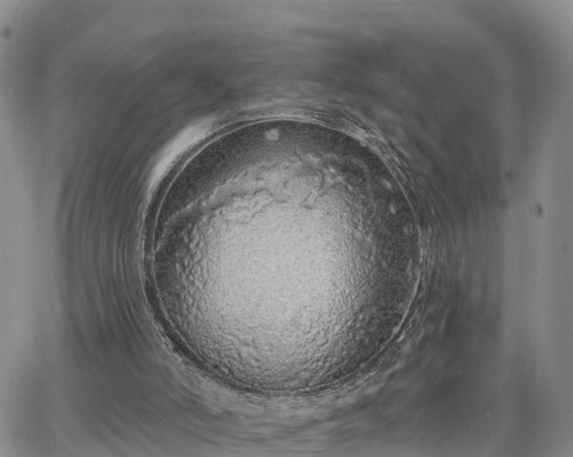 X0000064740006200602171719