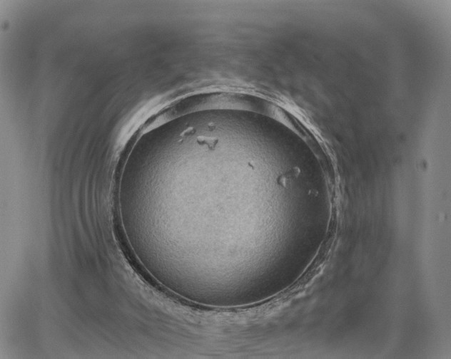 X0000064740007200602171719