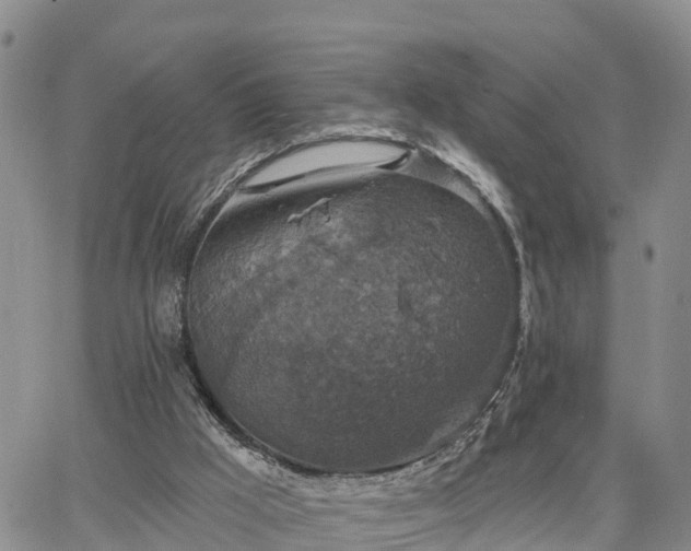 X0000064740009200602171719